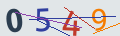 verifycode